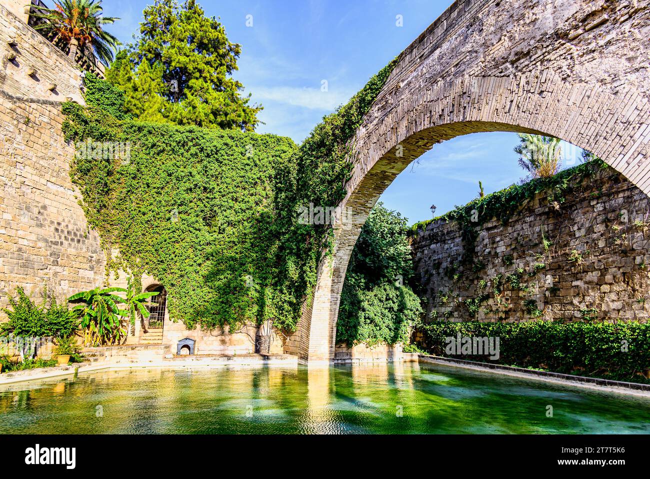 Belle vue sur l'étang de cygne du Huerto del Rey, au pied du Palais Royal de l'Almudaina, ou Alcázar Real, Majorque, îles Baléares Banque D'Images