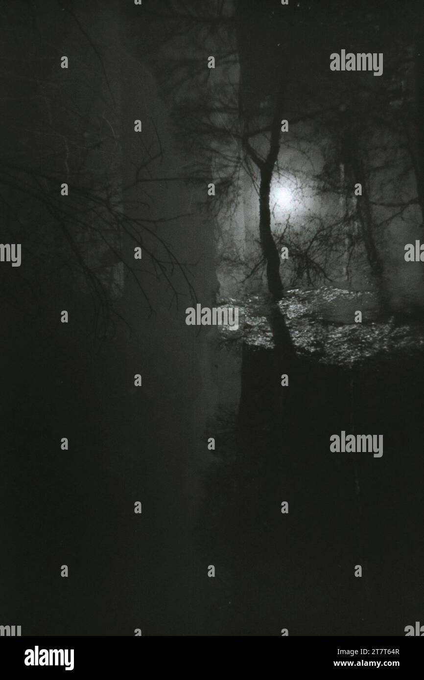 Paysage à exposition multiple abstrait noir et blanc Banque D'Images