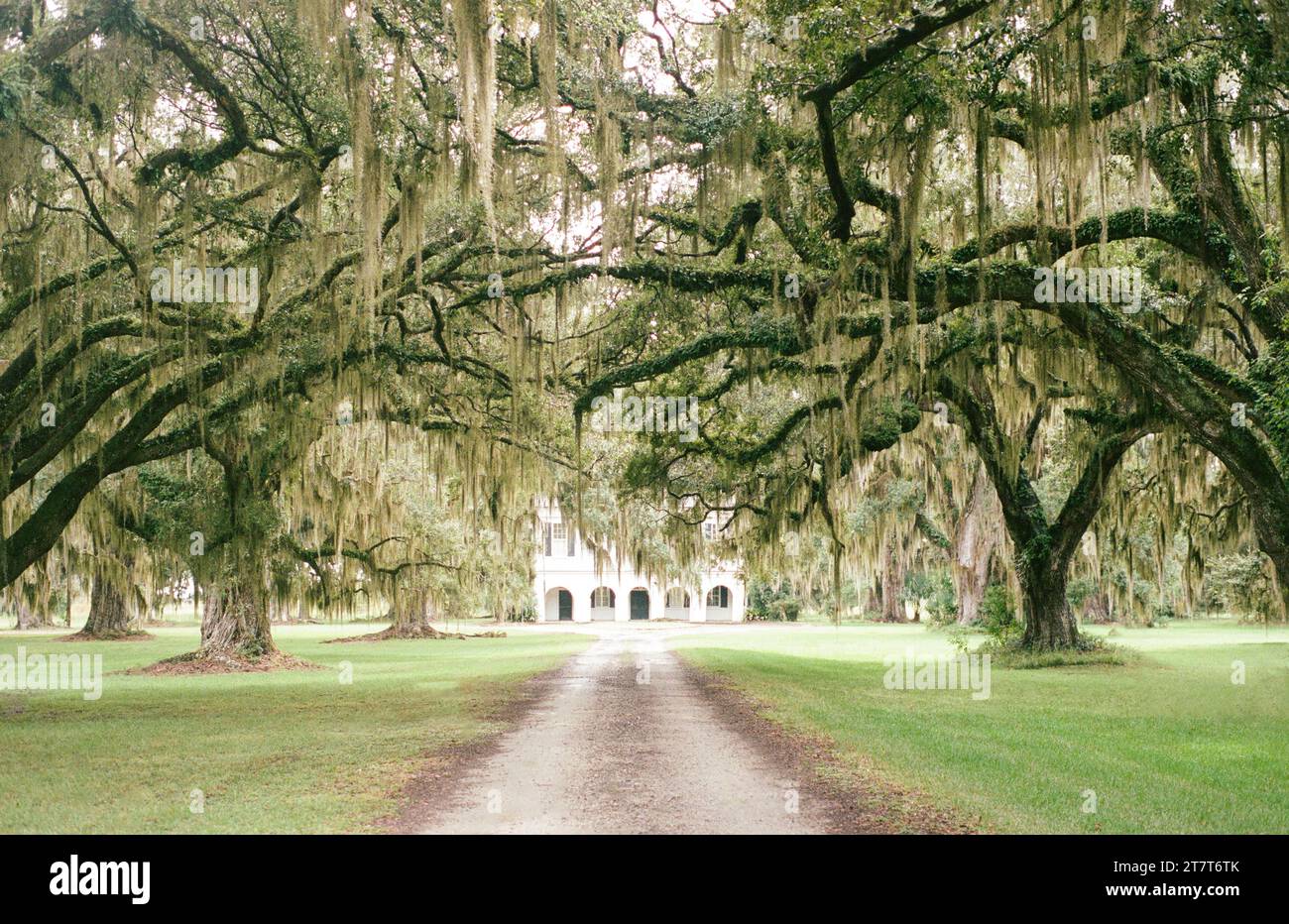 Plantation de Botany Bay sur Edisto Island SC Banque D'Images