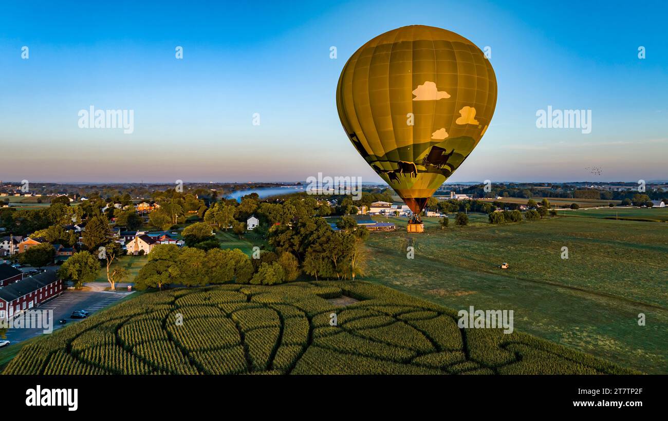 Une vue aérienne d'une montgolfière dorée, qui vient d'être lancée et flotte à travers un champ avec un labyrinthe de maïs, par un matin d'été ensoleillé Banque D'Images