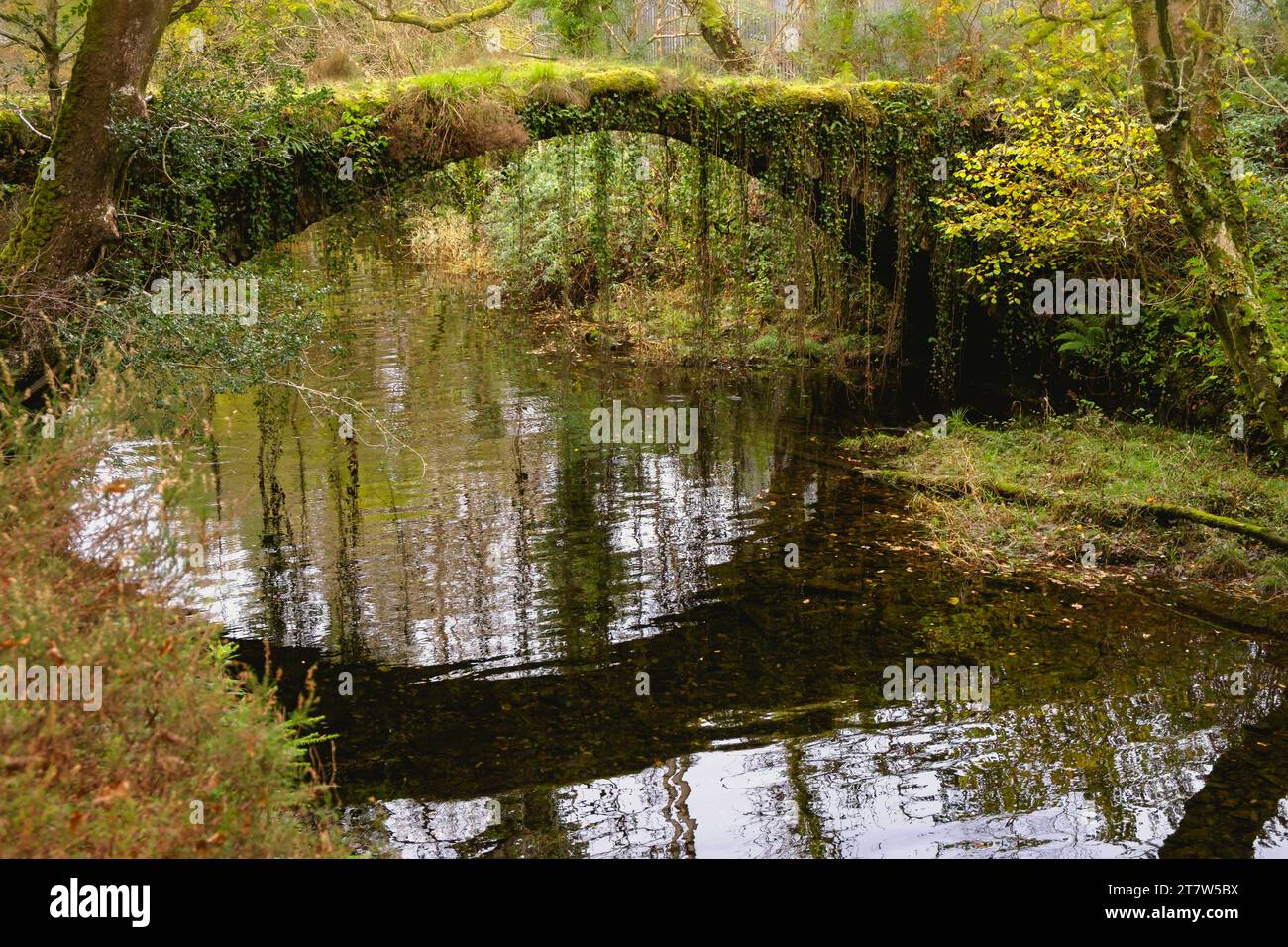 Old Ivy Bridge reflété dans la rivière Avon Prysor dans la gorge Ceunant Llennyrch dans la forêt tropicale celtique dans le parc national de Snowdonia près de Maentwrog Gwynedd Wales Banque D'Images