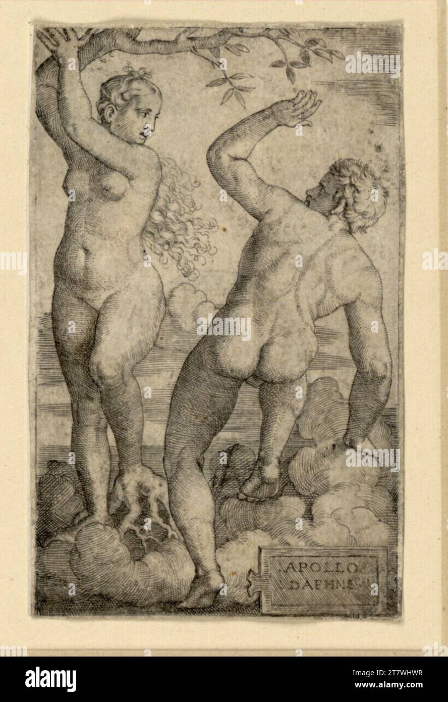 Barthel Beham Apoll et Daphne. Gravure sur cuivre Banque D'Images