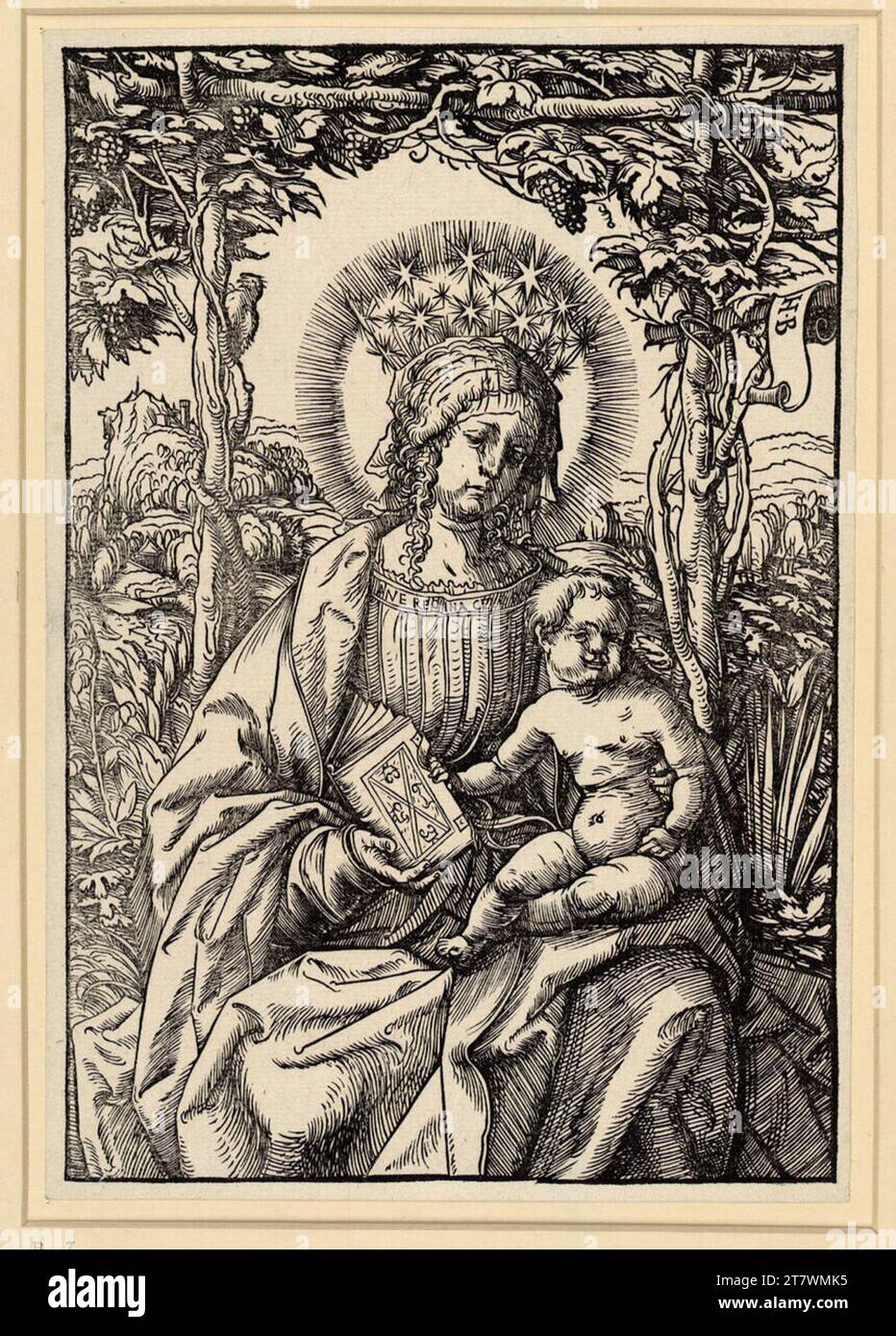 Hans Burgkmair d. Ä. Maria avec un enfant dans la tonnelle de vin. Gravure sur bois vers 1507-1509 Banque D'Images
