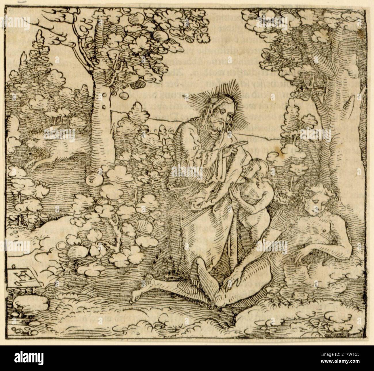 Hans Schäufelin la création des EVA de Adams RIB. Gravure sur bois, pression de type verso 1533, 1533 Banque D'Images