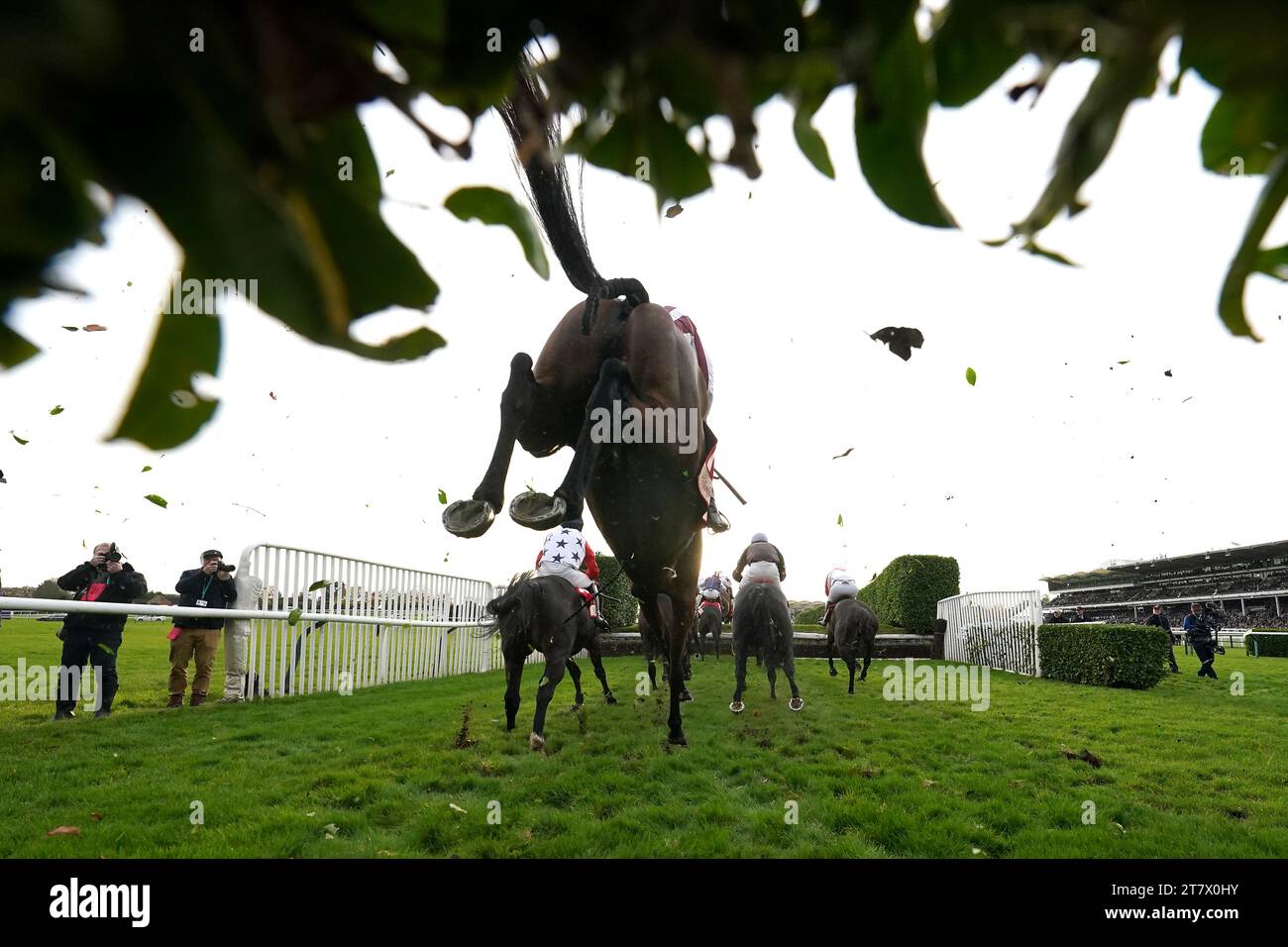 Coureurs et coureurs pendant la course de Glenfarclas Cross Country handicap Chase le premier jour de la réunion de novembre à l'hippodrome de Cheltenham. Date de la photo : Vendredi 17 novembre 2023. Banque D'Images