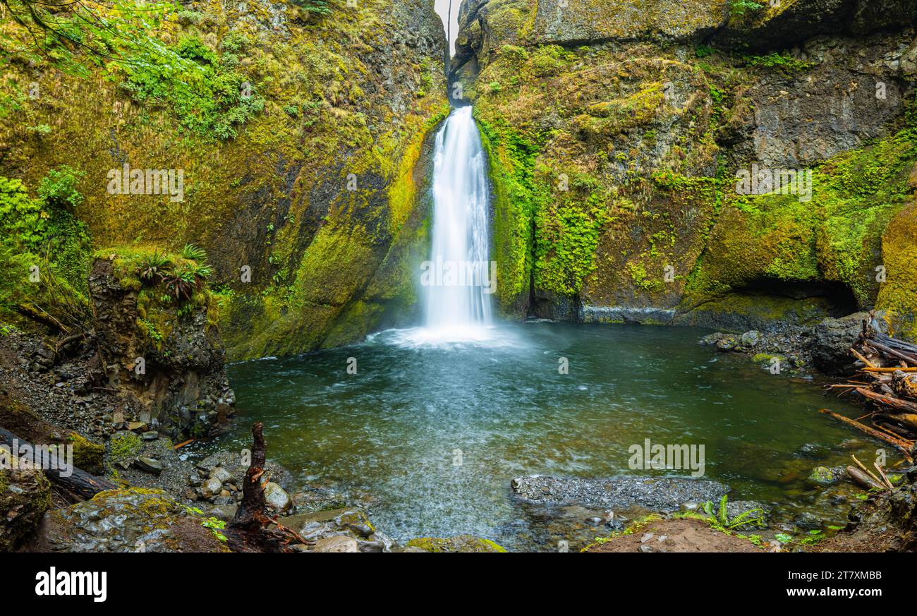 Wahclella Falls et Tanner Creek, Columbia River gorge, Oregon, États-Unis Banque D'Images