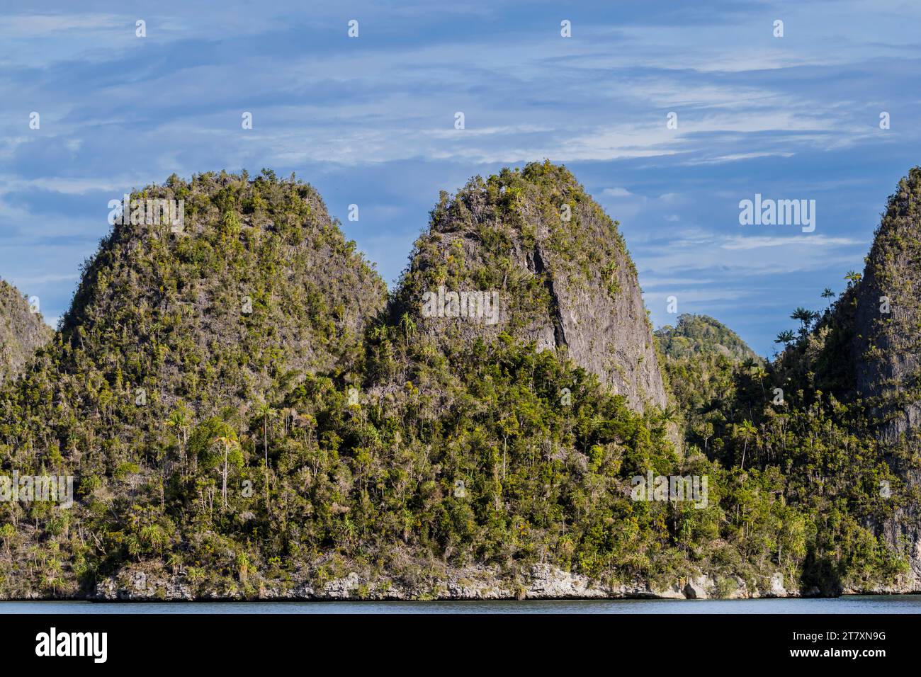 Une vue des îlots couverts de végétation de l'intérieur du port naturel protégé de Wayag Bay, Raja Ampat, Indonésie, Asie du Sud-est, Asie Banque D'Images