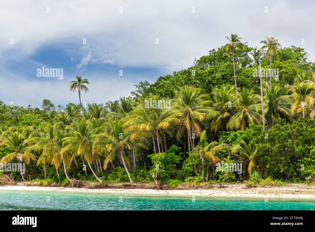 Plages de sable blanc et cocotiers sur Batu Hatrim, Raja Ampat, Indonésie, Asie du Sud-est, Asie Banque D'Images
