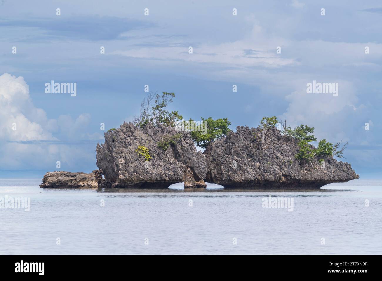 Une vue des îlots de calcaire couverts de végétation à Batu Hatrim, Raja Ampat, Indonésie, Asie du Sud-est, Asie Banque D'Images