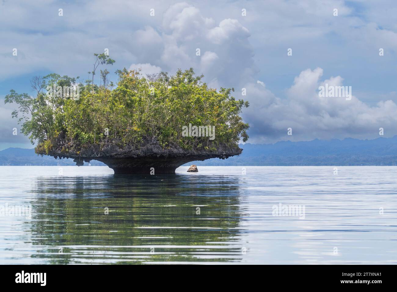 Une vue des îlots calcaires couverts de végétation, île de Gam, Raja Ampat, Indonésie, Asie du Sud-est, Asie Banque D'Images