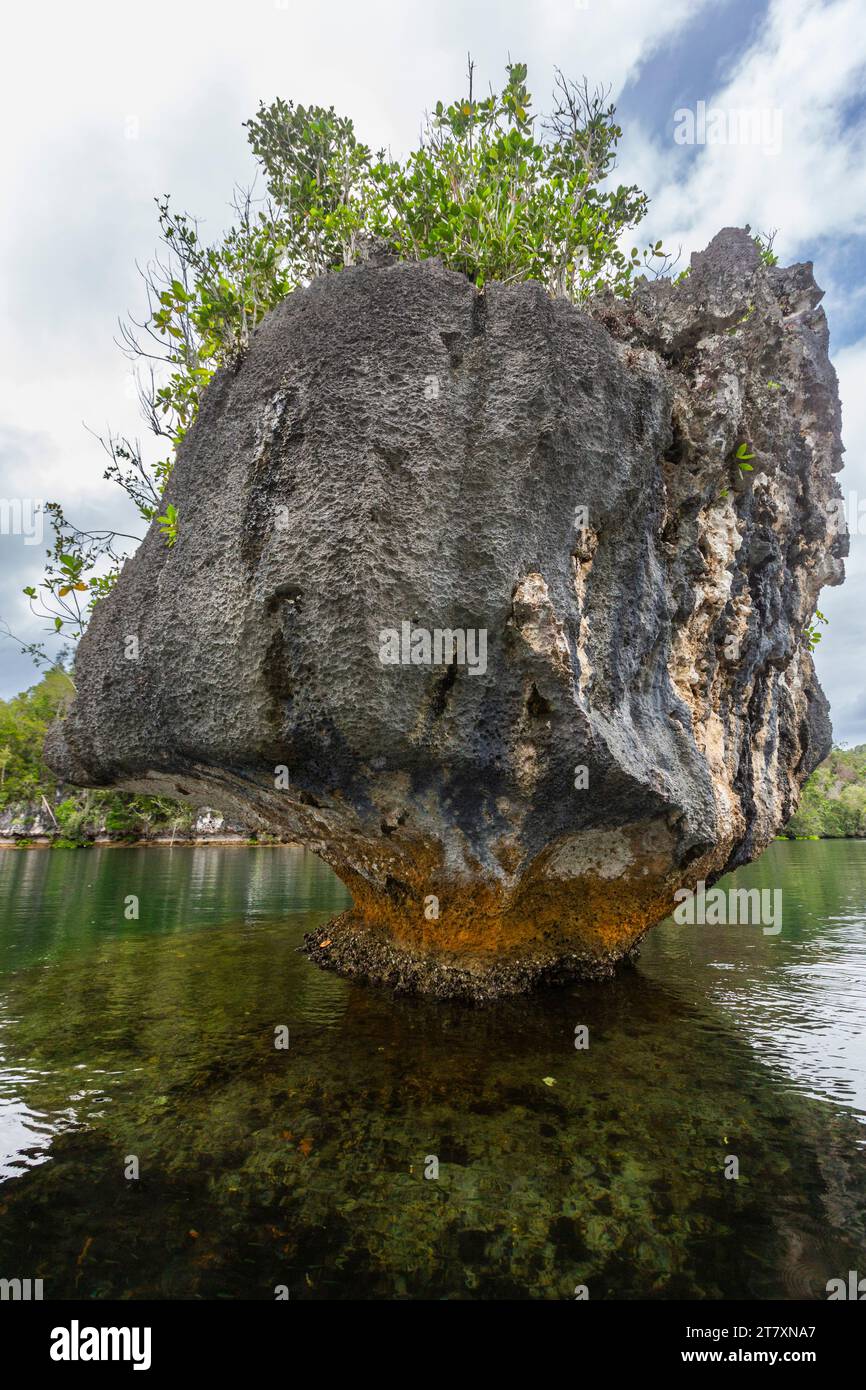 Une vue des îlots calcaires couverts de végétation, île de Gam, Raja Ampat, Indonésie, Asie du Sud-est, Asie Banque D'Images