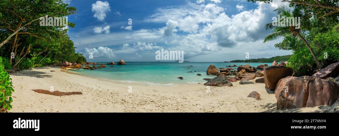 Panorama avec des palmiers et des rochers de granit à Anse Lazio, plage pittoresque de l'île de Praslin, bannière web des Seychelles Banque D'Images