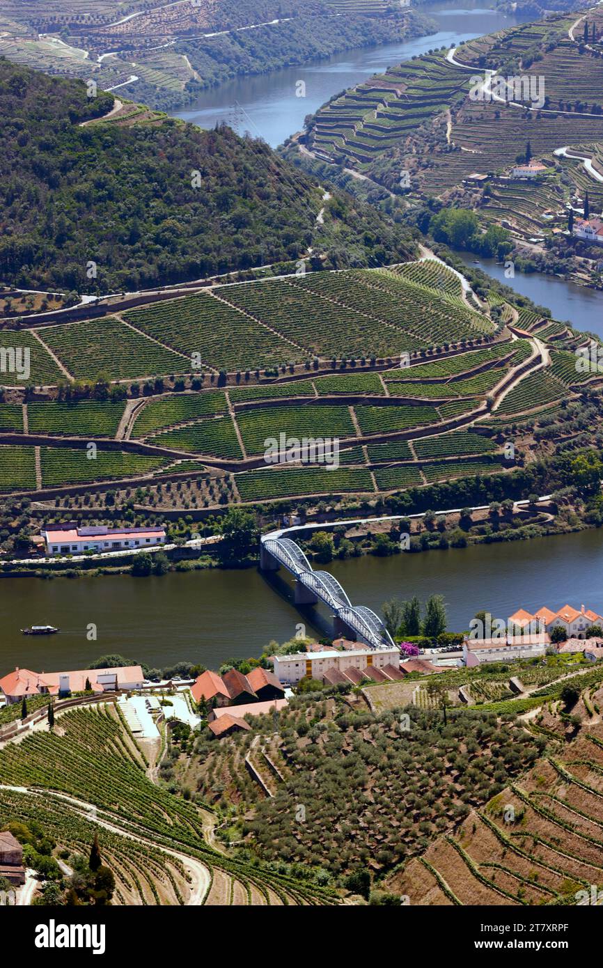 Vignobles dans la vallée du Douro au cœur de la région viticole du Haut-Douro, Pinhao, Portugal, Europe Banque D'Images