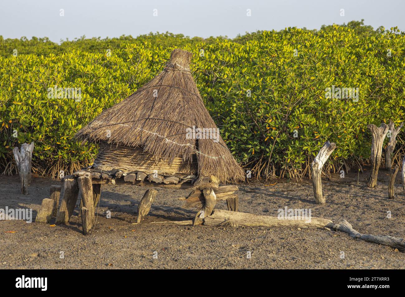 Ancien grenier avec un toit d'herbe sèche sur une île parmi les arbres de mangrove, Joal-Fadiouth, Sénégal, Afrique de l'Ouest, Afrique Banque D'Images