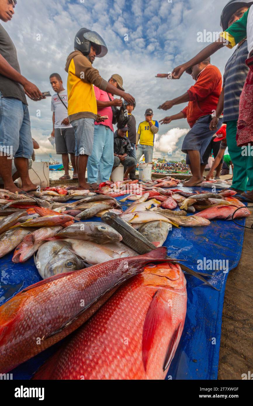 Vendeurs vendant du poisson frais au marché aux poissons de Sorong, la plus grande ville de la province indonésienne du sud-ouest de la Papouasie, Indonésie, Asie du sud-est Banque D'Images