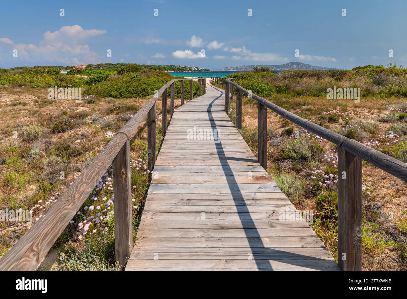 Chemin (promenade) vers la plage de Porto Pollo, Porto Puddu, Gallura, Sardaigne, Italie, Méditerranée, Europe Banque D'Images
