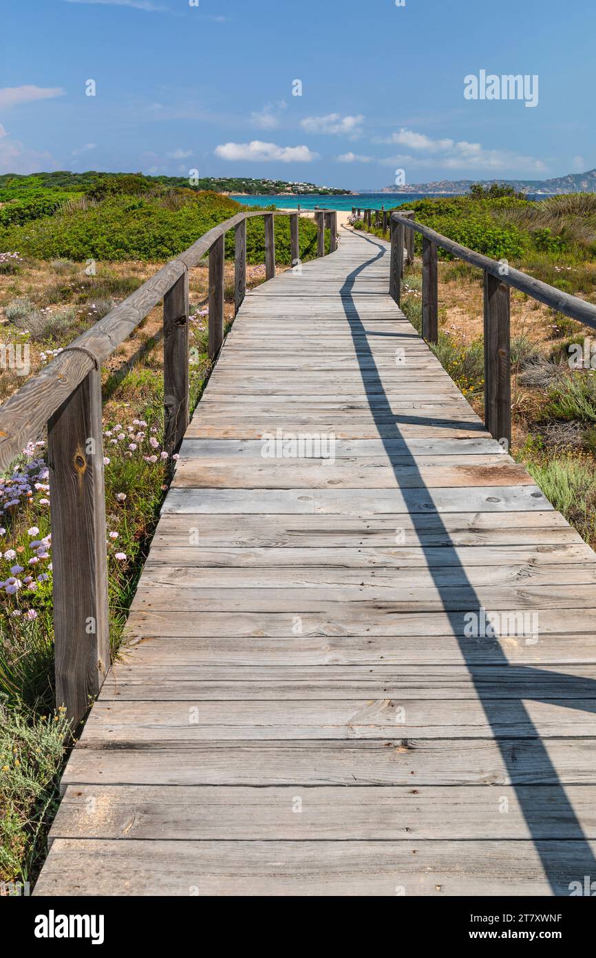 Chemin (promenade) vers la plage de Porto Pollo, Porto Puddu, Gallura, Sardaigne, Italie, Méditerranée, Europe Banque D'Images