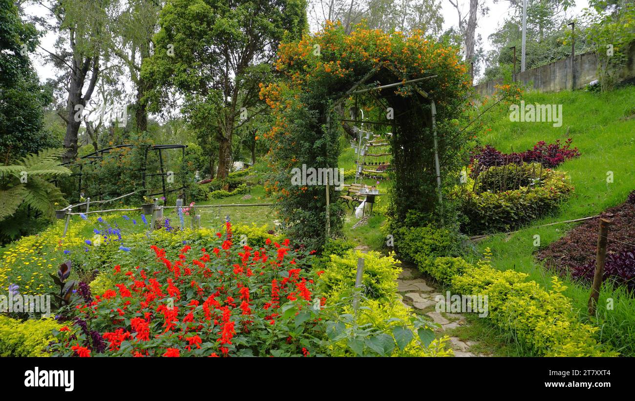 Beau jardin pittoresque de Kodaikanal Bryant Park. L'un des lieux à visiter absolument à Queen of Hills Kodaikanal pour la verdure luxuriante et les fleurs Banque D'Images