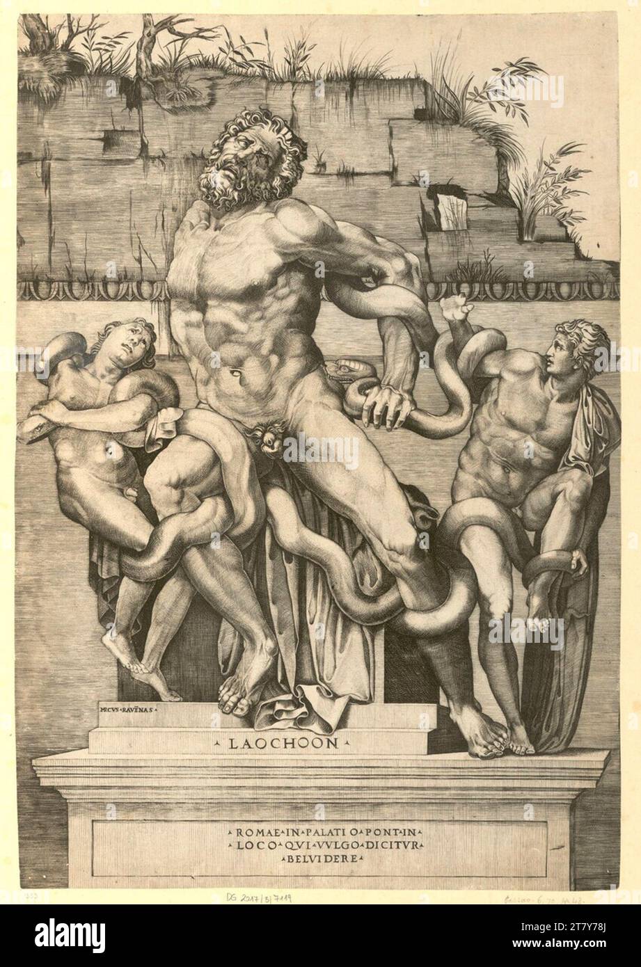 Marco dente (graveur) Laoko. Gravure sur cuivre 1522-1525, 1522/1525 Banque D'Images