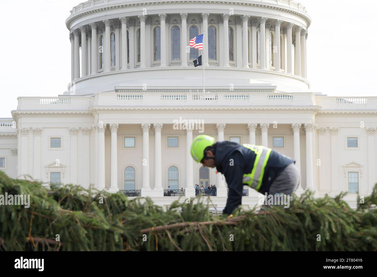 Washington, États-Unis. 17 novembre 2023. Le sapin de Noël du Capitole DES ÉTATS-UNIS nommé « Wa FeemTekwi » par la tribu Shawnee arrive de Virginie-Occidentale, aujourd’hui le 17 novembre 2023 à West Front Lawn/Capitol Hill à Washington DC, États-Unis. (Photo de Lenin Nolly/Sipa USA) crédit : SIPA USA/Alamy Live News Banque D'Images