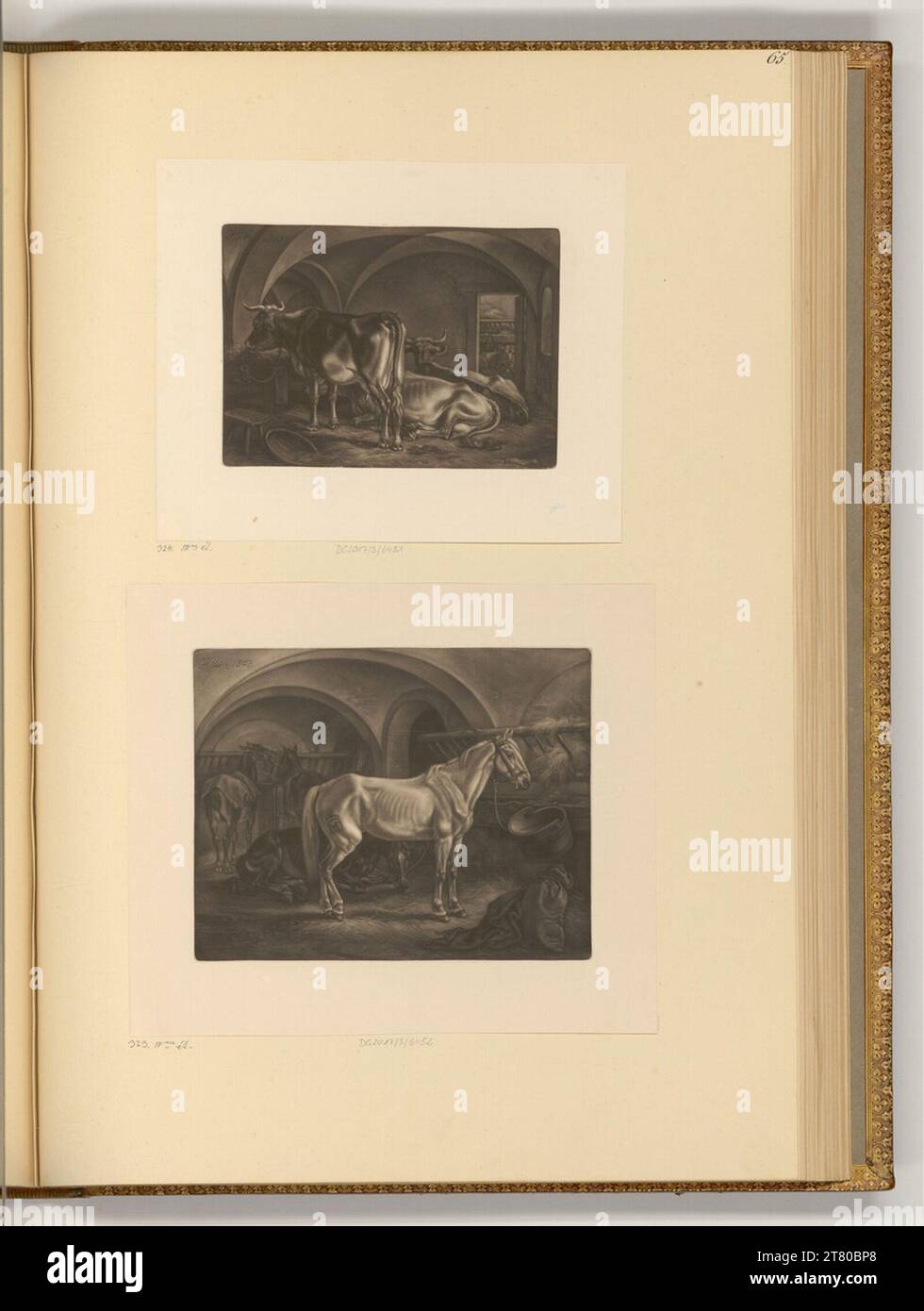 Johann Adam Klein (Ausführende r Künstler in) vaches dans une étable ; chevaux dans une étable. Ski 1843, 1843 Banque D'Images