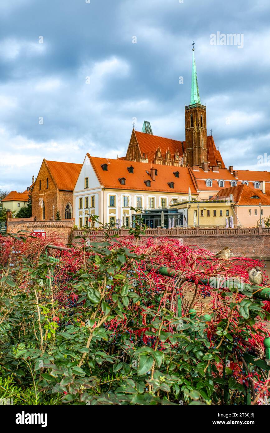 La Collégiale de la Sainte-Croix et Saint-Barthélemy. Île de la cathédrale, Ostrow Tumkski, Wroclaw, Pologne Banque D'Images