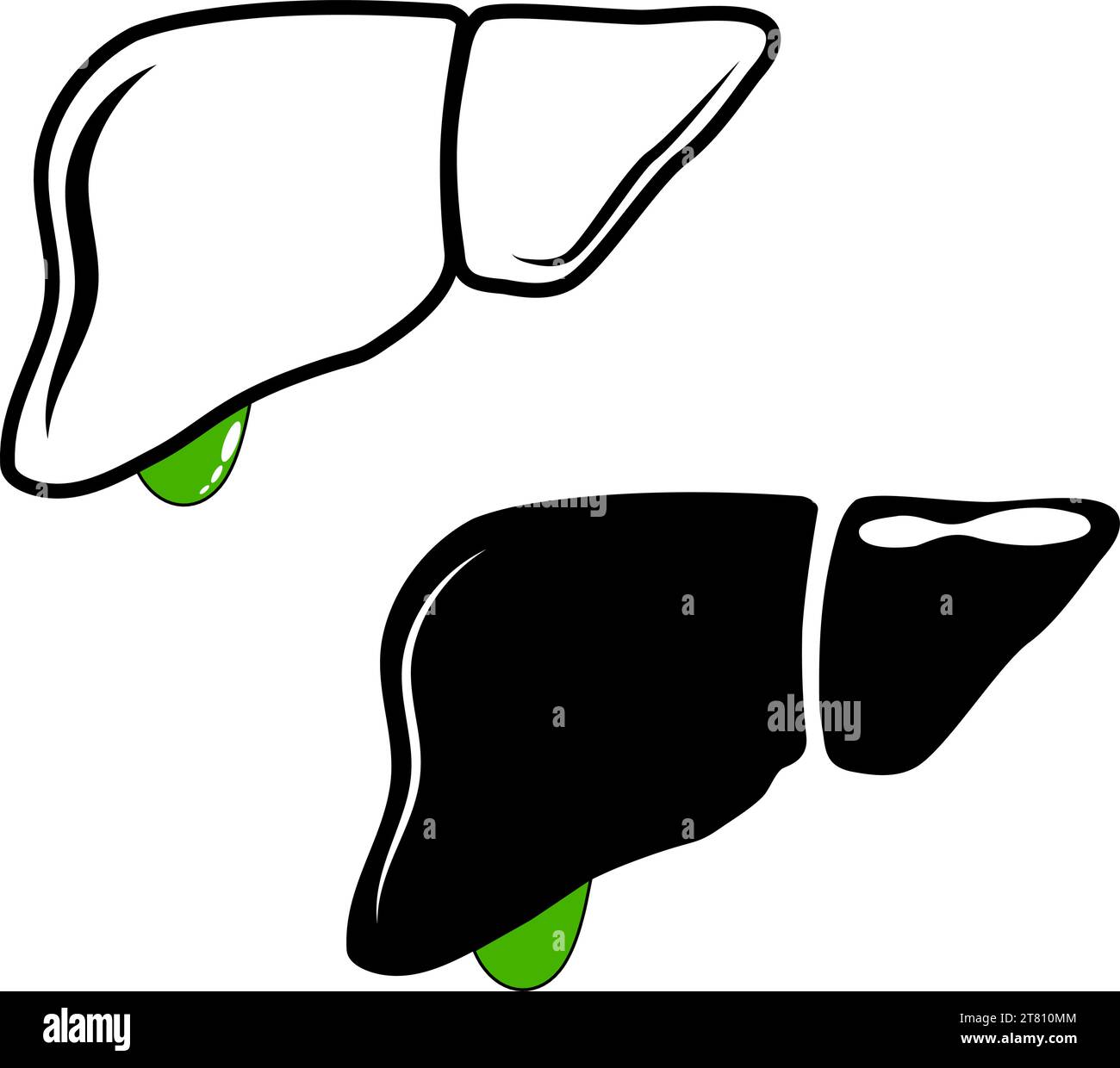 Icône de ligne noire du foie. Style de contour simple. Pictogramme stylisé pour la conception Web, ou application mobile. Illustration vectorielle. symbole de ligne plate. Illustration de Vecteur