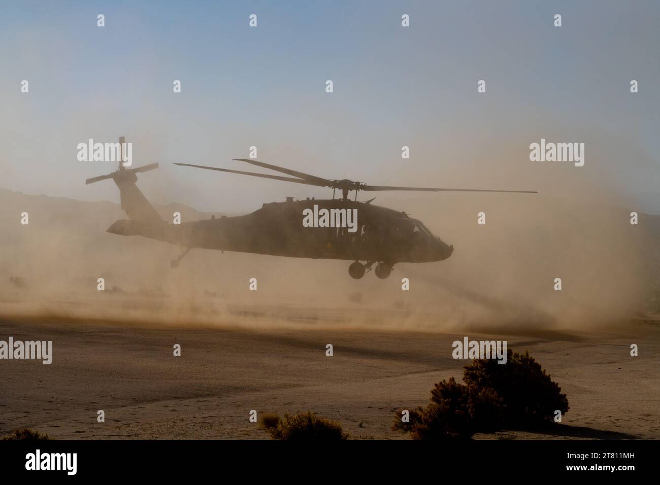 Les hélicoptères Blackhawk de l'armée des États-Unis remuent des nuages de sable et de poussière alors qu'ils effectuent des manœuvres dans le désert californien près de fort Irwin. Banque D'Images