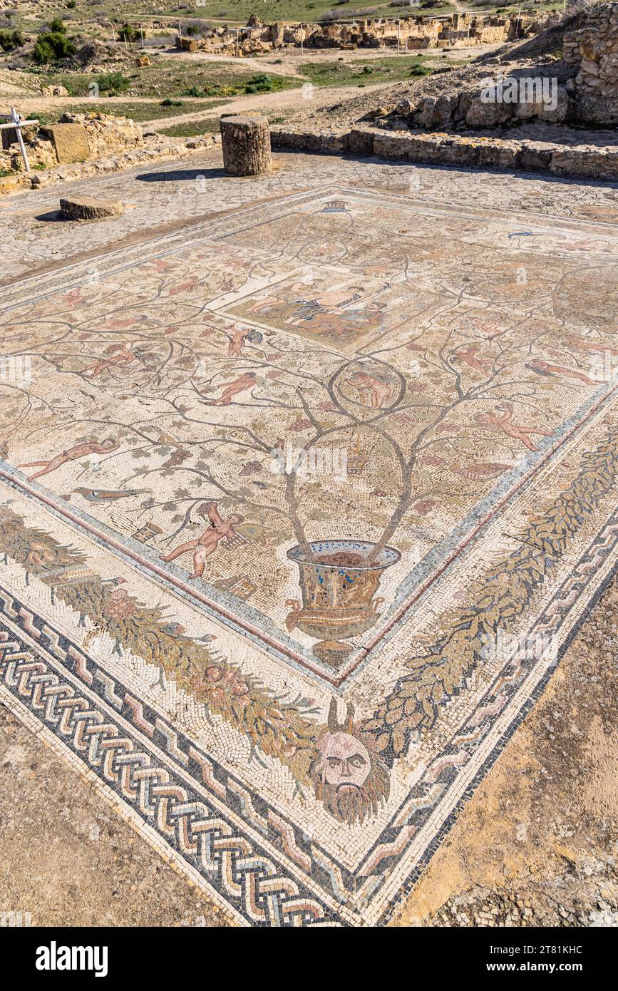 Uthina, Ben Arous, Tunisie. Sol en mosaïque romaine avec satyre et vignes au site archéologique d'Uthina. Banque D'Images