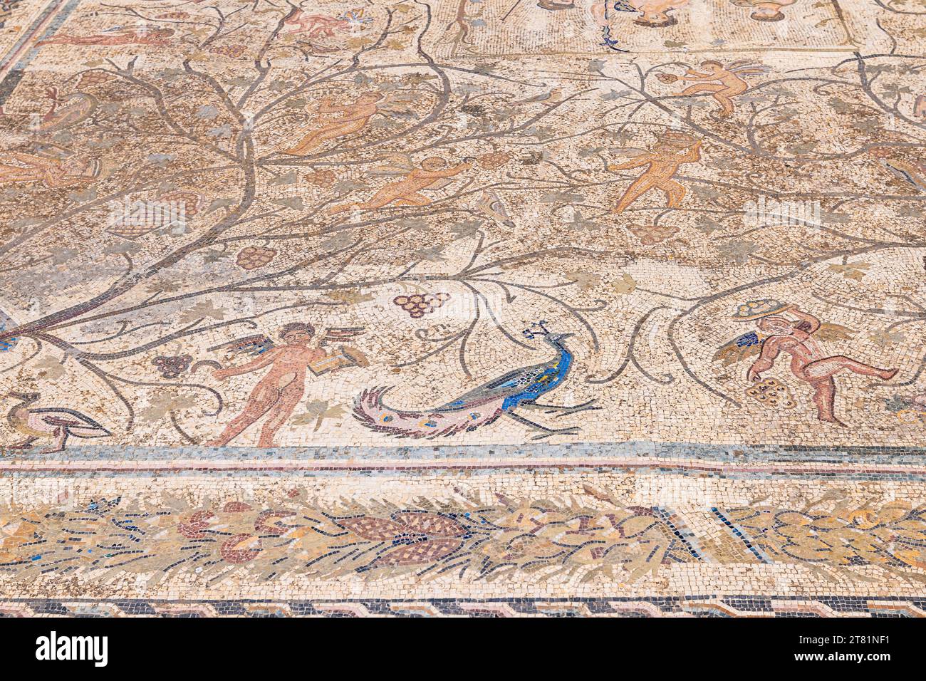 Uthina, Ben Arous, Tunisie. Sol en mosaïque romaine avec paon et chérubins au site archéologique d'Uthina. Banque D'Images