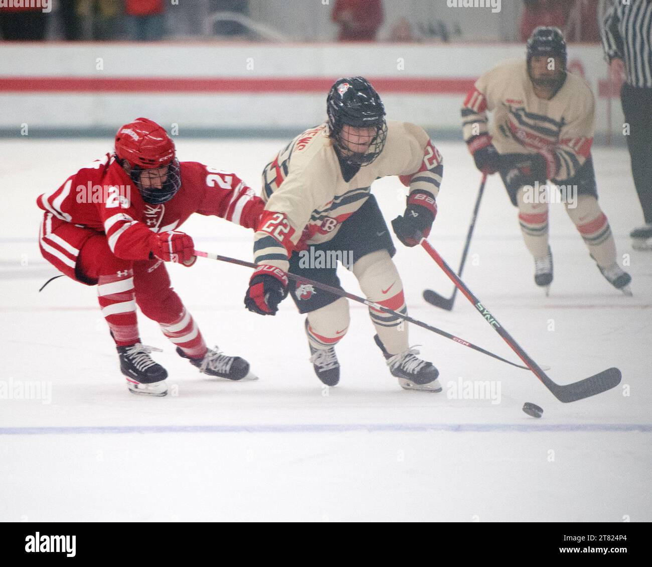 Columbus, Ohio, États-Unis. 17 novembre 2023. L'attaquant des Buckeyes de l'Ohio State Sloane Matthews (22) se bat pour la rondelle avec l'attaquant des Badgers du Wisconsin Maddi Wheeler (28) dans leur match à Columbus, Ohio. Brent Clark/Cal Sport Media/Alamy Live News Banque D'Images