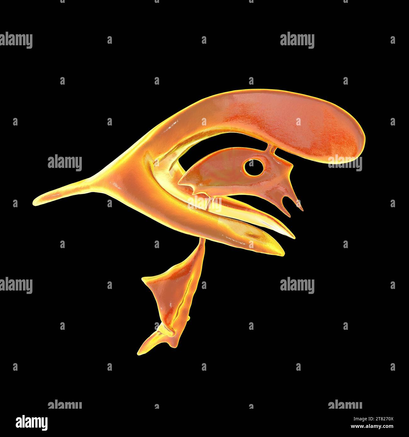 Système ventriculaire du cerveau, illustration Banque D'Images