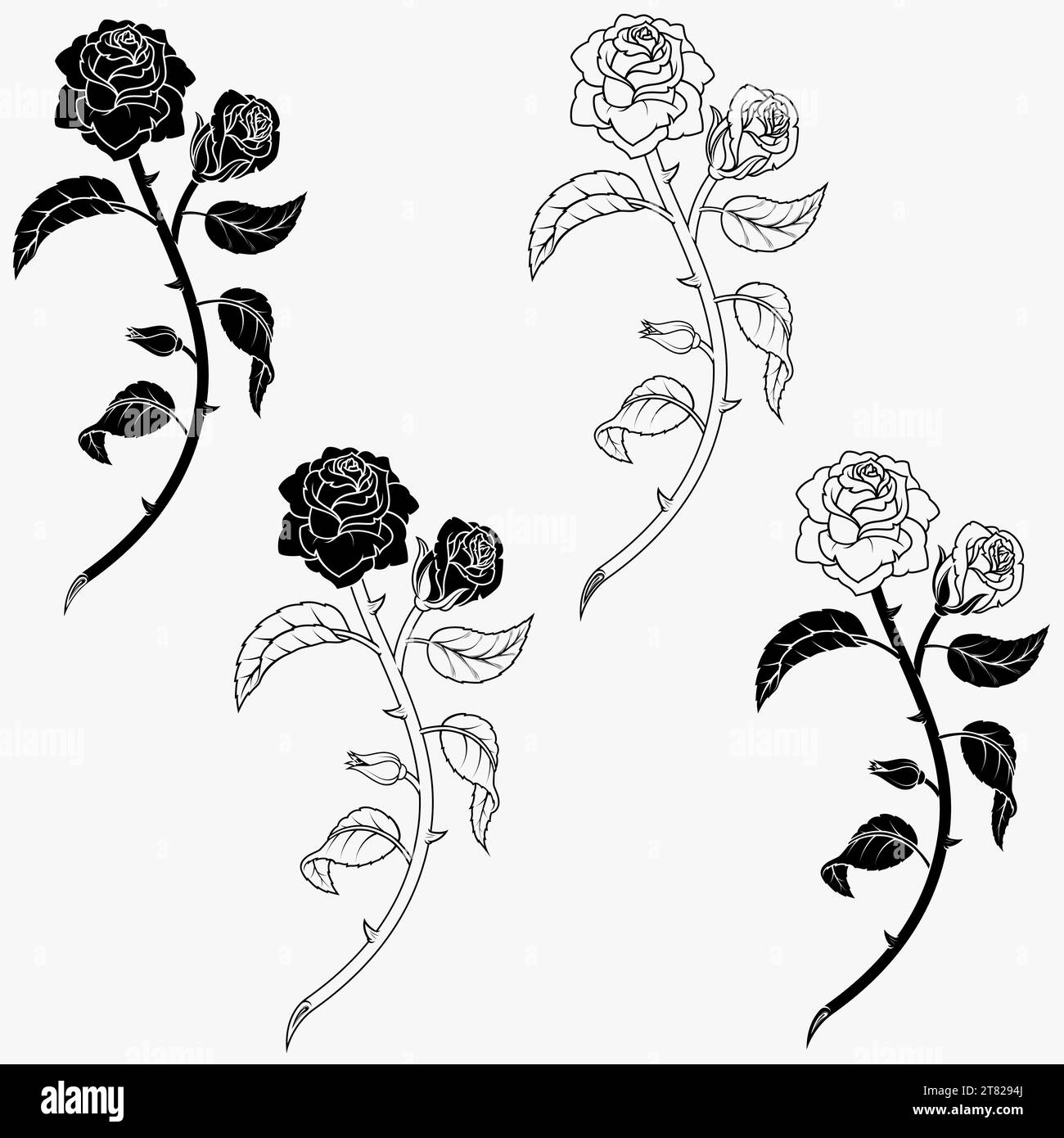 Vector design d'un bouquet de roses, avec des feuilles, des pétales et des épines, cadeau pour les amoureux, plante pour la décoration Illustration de Vecteur
