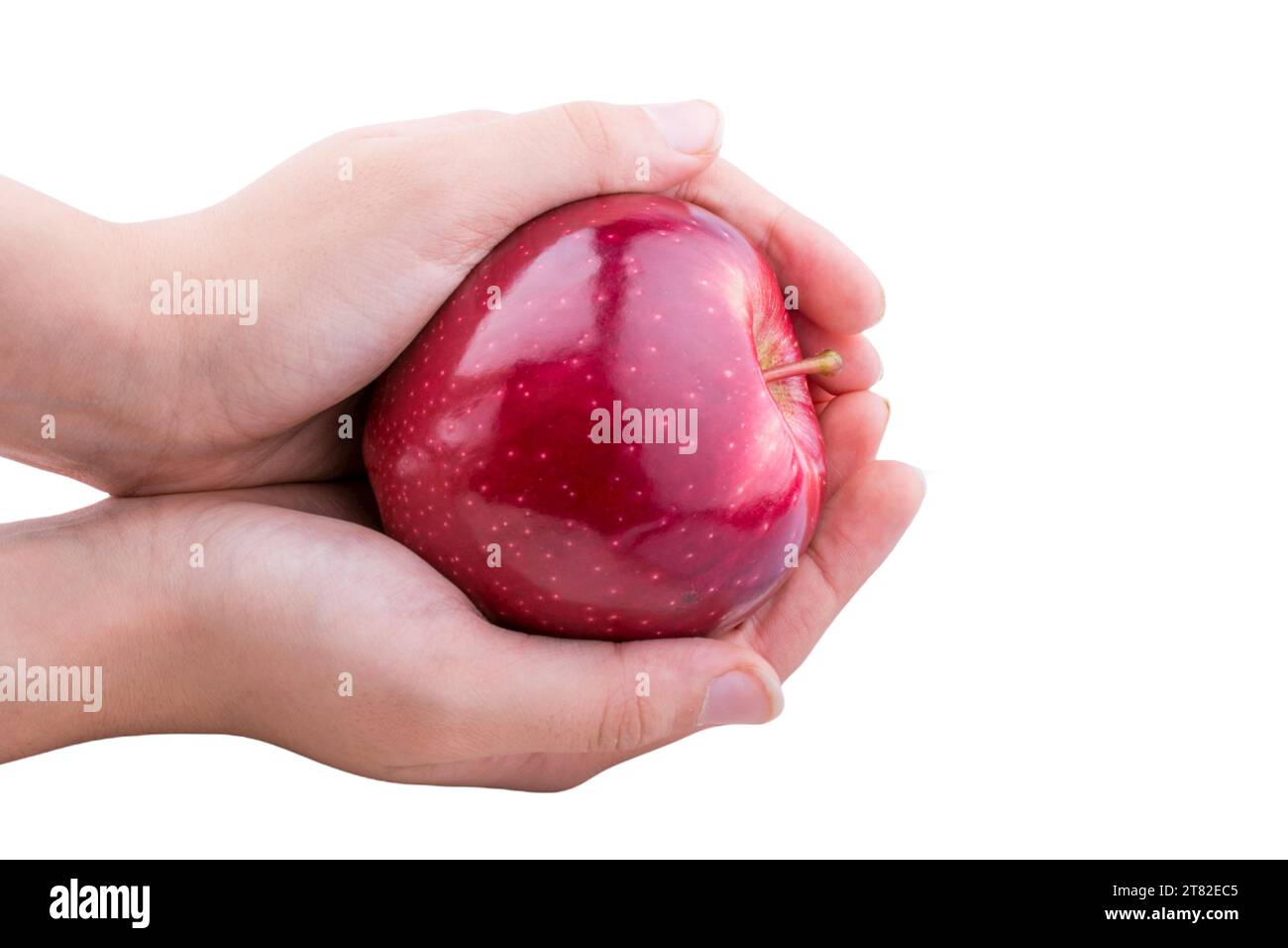 Récolte de pommes. Concept d'automne. Pomme fraîche à la main Banque D'Images