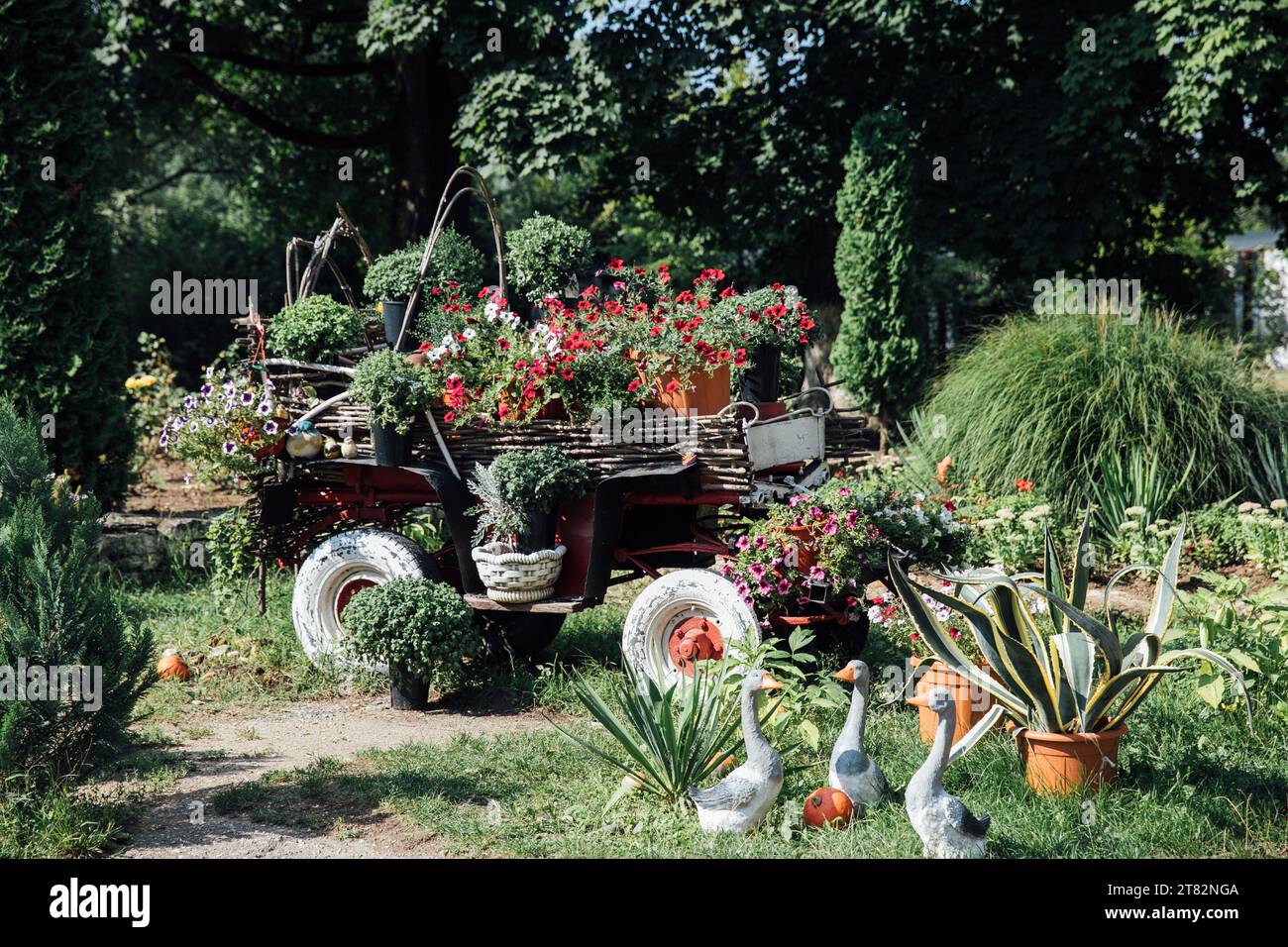 chariot avec des fleurs et des oies de la ferme Banque D'Images