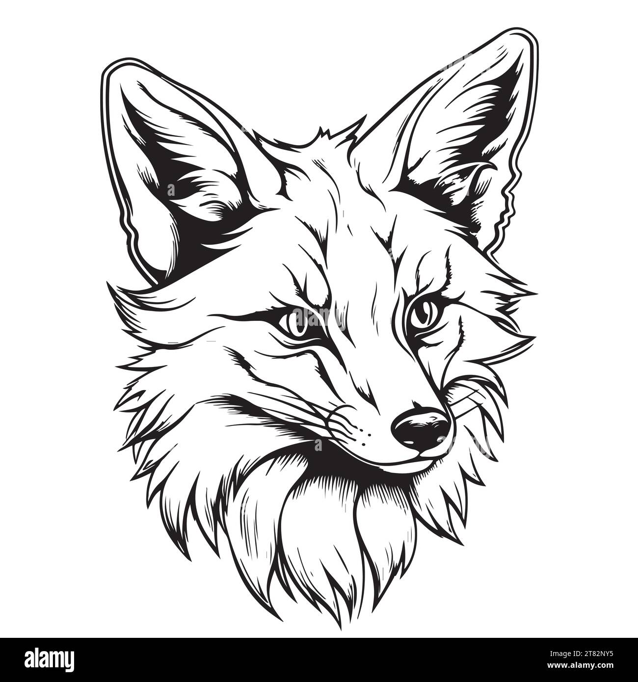 Fox. Graphique, croquis, noir et blanc, portrait dessiné à la main d'une tête de renard sur fond blanc. Illustration de Vecteur