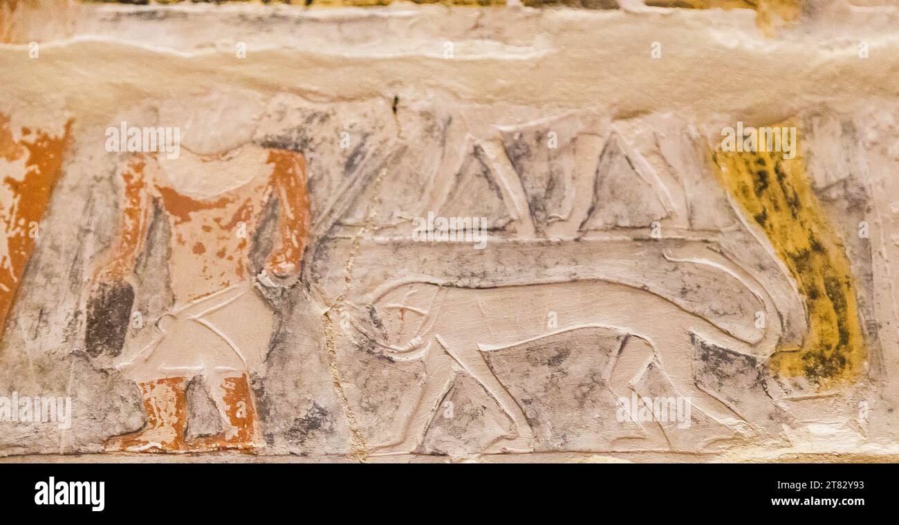 Egypte, Saqqara, tombe de Mehu, un nain et un singe. Banque D'Images