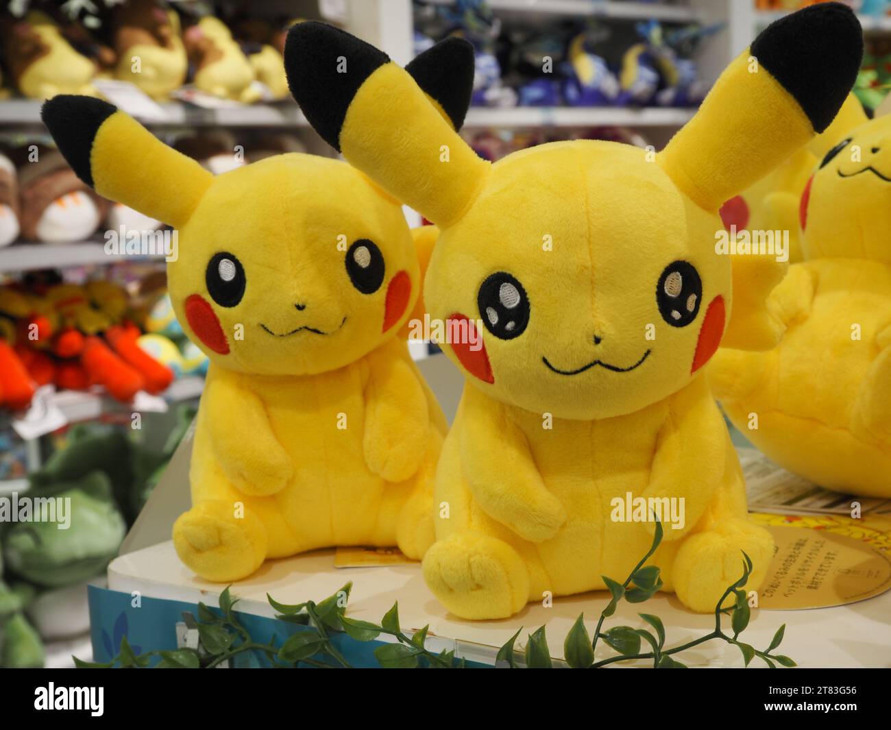 TOKYO, JAPON - 15 novembre 2023 : jouets doux Pokemon Pikachu dans le Pokemon Center DX dans le quartier de Nihonbashi à Tokyo. Banque D'Images