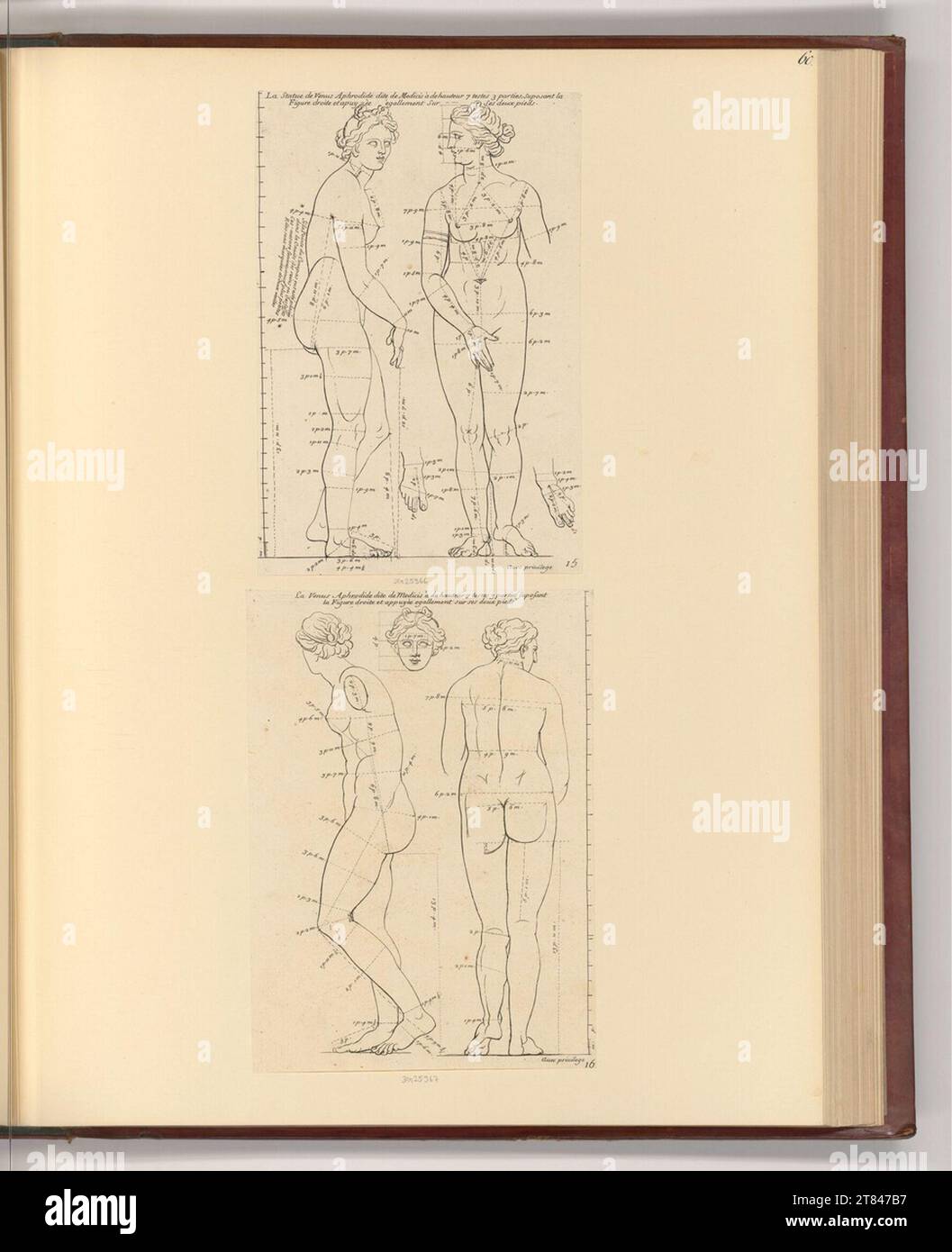Gérard Audran Etudes proportionnelles du corps humain. gravure 1683, 1683 Banque D'Images
