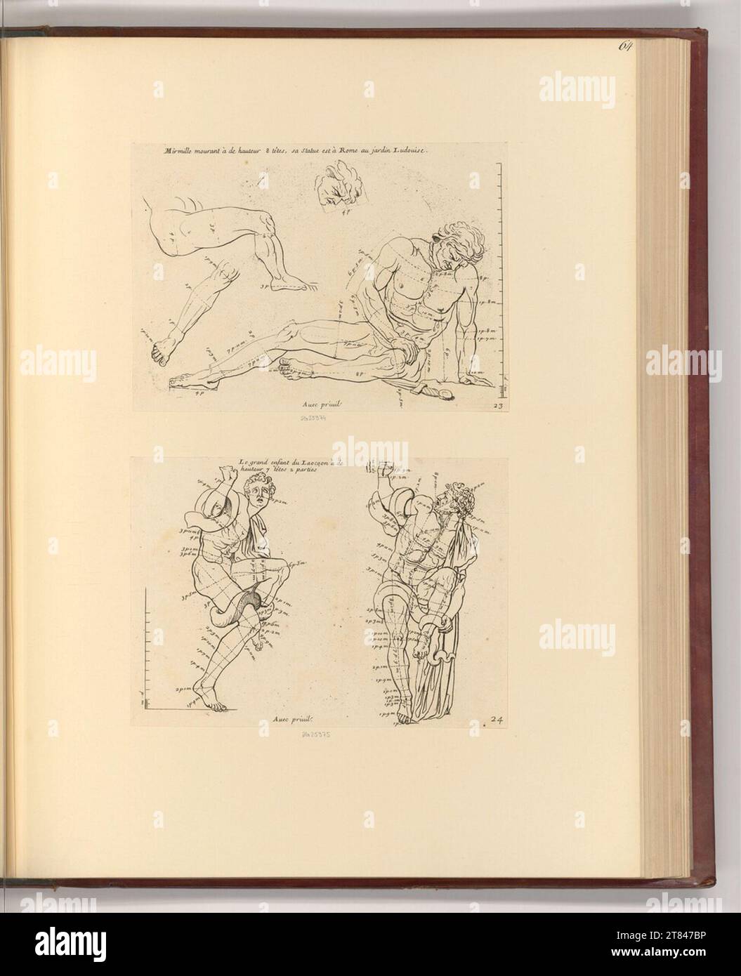 Gérard Audran Etudes proportionnelles du corps humain. gravure 1682, 1682 Banque D'Images