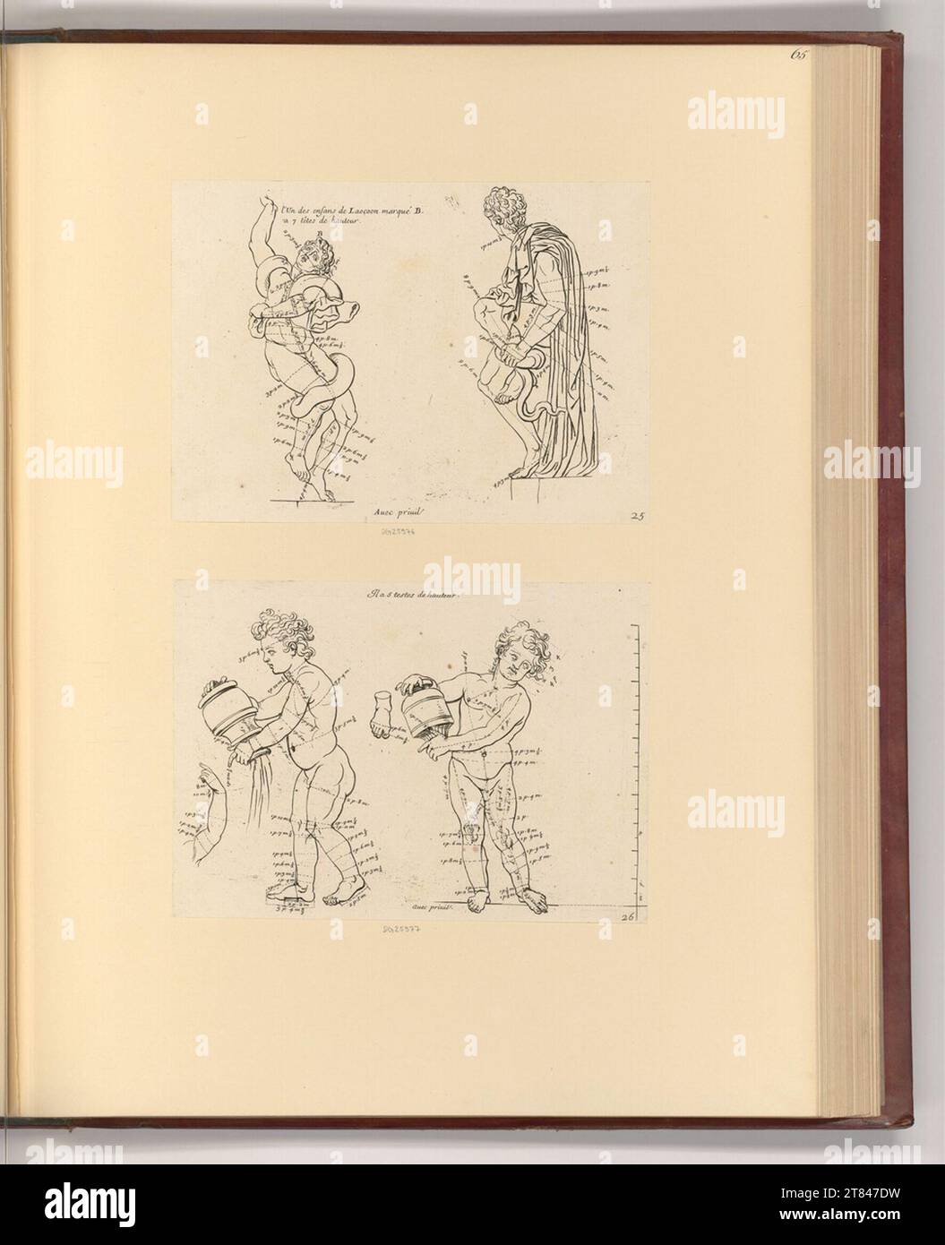 Gérard Audran Etudes proportionnelles du corps humain. gravure 1682, 1682 Banque D'Images