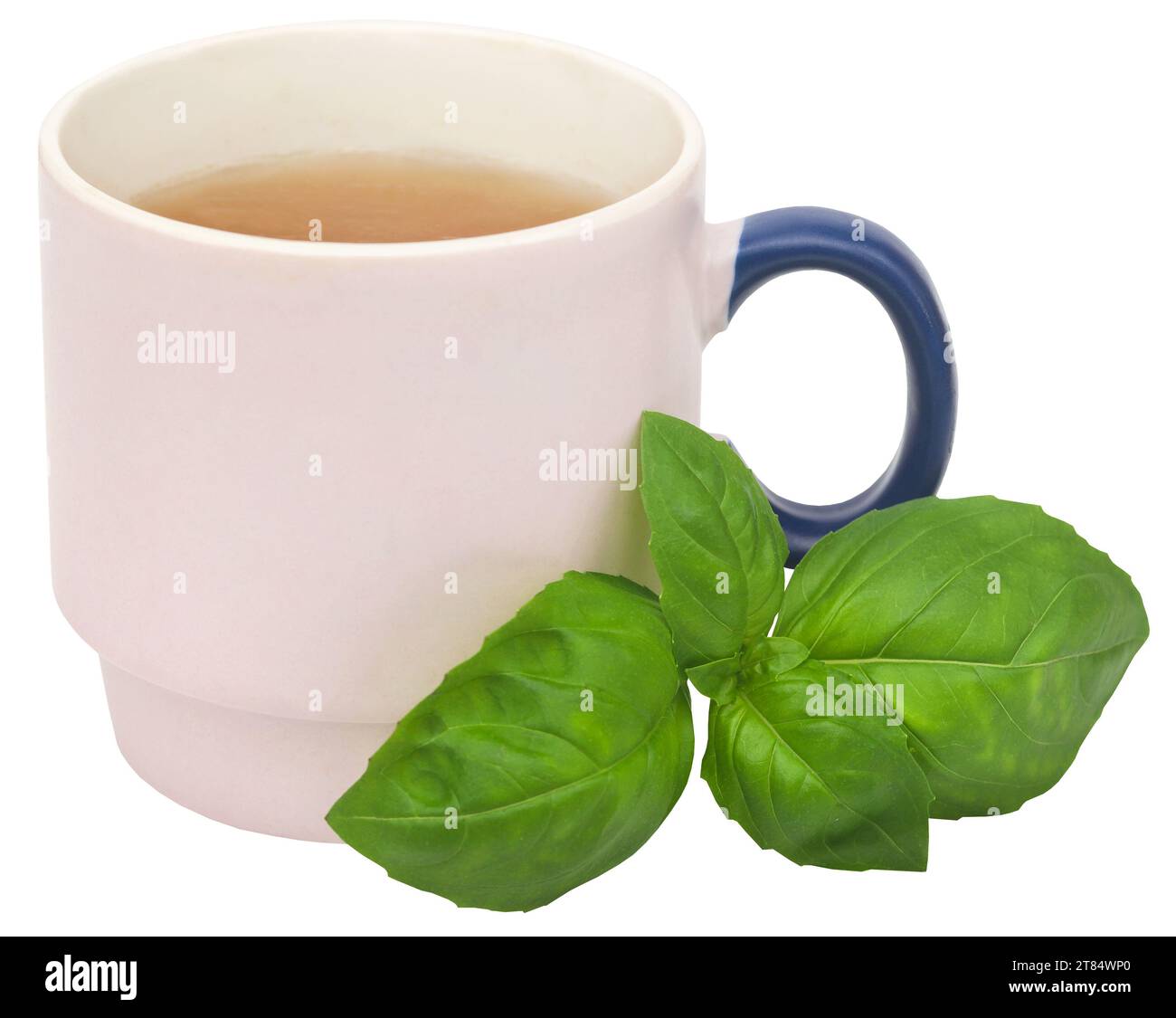 Feuilles de basilic frais avec de la tisane dans une tasse Banque D'Images