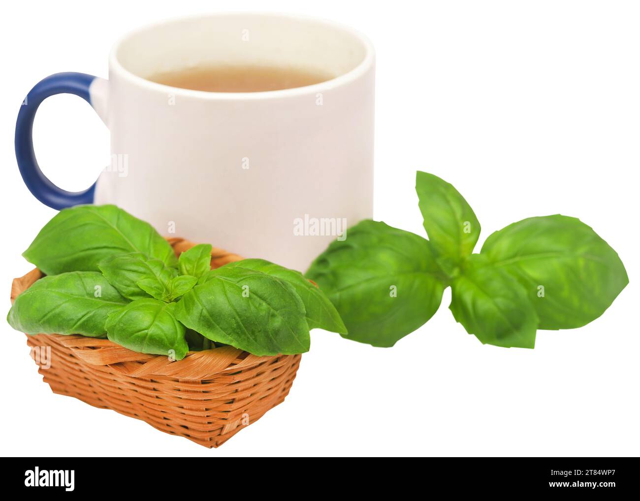 Feuilles de basilic frais avec de la tisane dans une tasse Banque D'Images