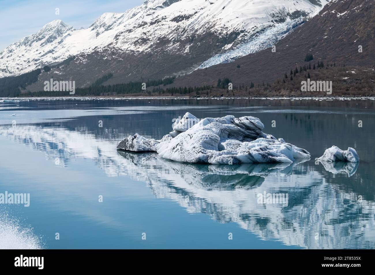 Des growlers de forme étrange (petits icebergs) avec des reflets flottant dans le détroit de Prince William en Alaska, USA Banque D'Images