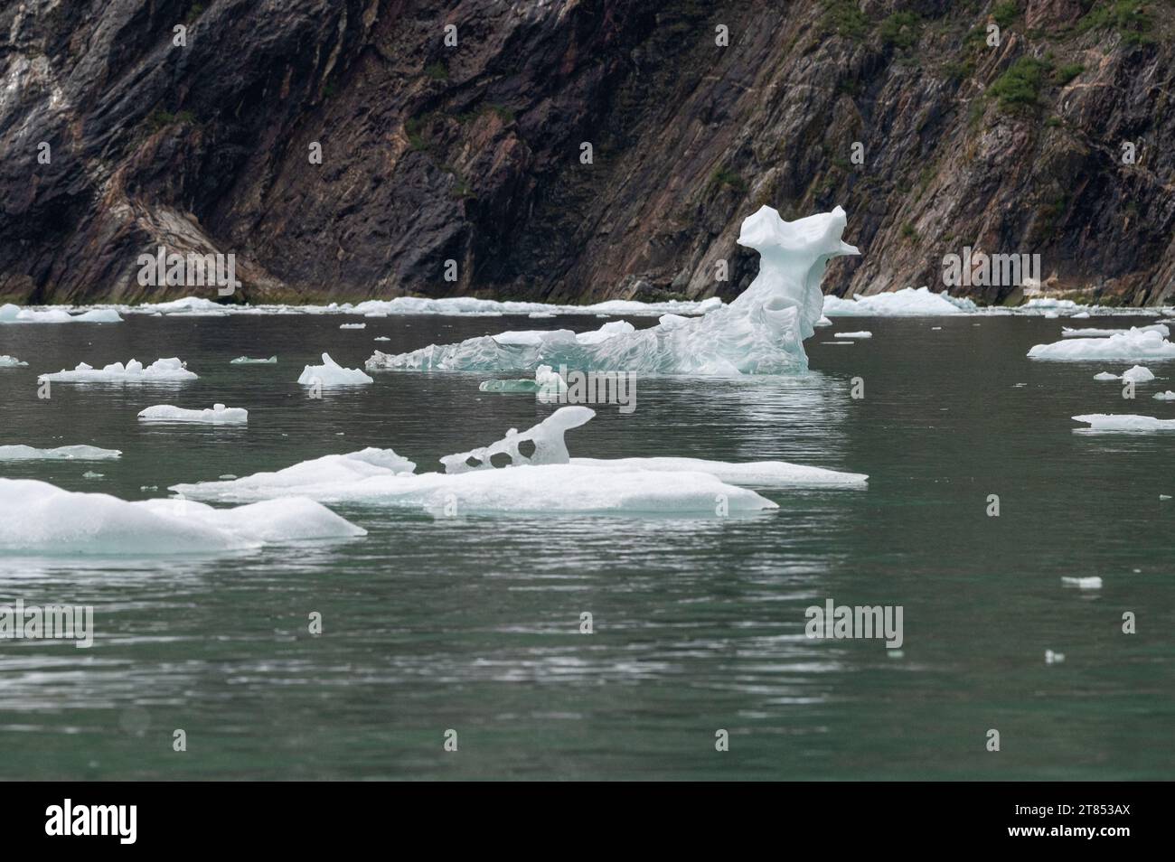 Des growlers de forme étrange (petits icebergs) flottant dans Icy Bay en Alaska, USA Banque D'Images