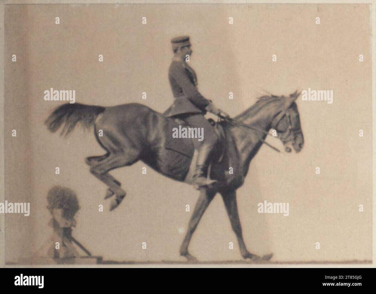 Ottomar Anschütz Show Rider. Platinotype, sur deux commandes (carton) vers 1890 Banque D'Images