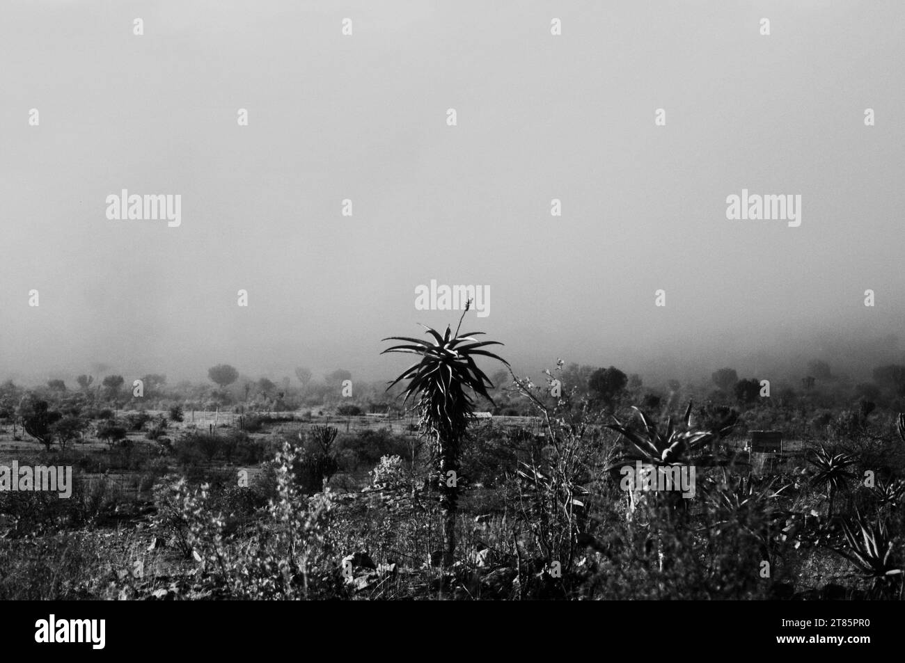 Alors que le monde lutte contre le changement climatique, la brume couvre le village de Maja sur les bords des montagnes du Drakensberg dans le Limpopo, en Afrique du Sud, sous forme de conditions météorologiques Banque D'Images