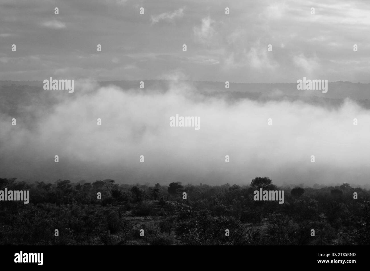 Alors que le monde lutte contre le changement climatique, la brume couvre le village de Maja sur les bords des montagnes du Drakensberg dans le Limpopo, en Afrique du Sud, sous forme de conditions météorologiques Banque D'Images
