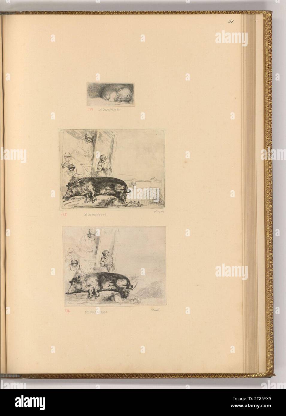 Richard Byron petit chien ; sanglier chauffé. gravure 1724-1811, 1724/1811 Banque D'Images