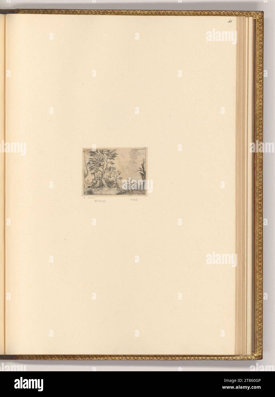 Willem Basse (graveur) Paysage d'arbres. gravure 1630-1672, 1630/1672 Banque D'Images